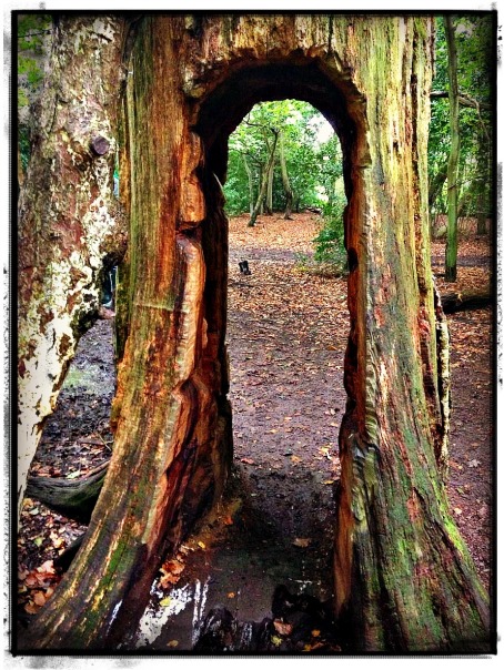 Tree portal